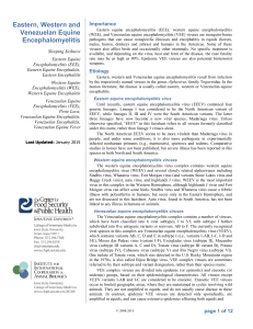 Eastern, western and Venezuelan equine encephalomyelitis