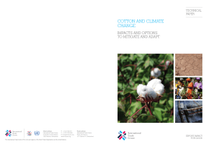 Cotton and Climate Change: Impacts and options to mitigate