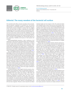 Editorial: The many wonders of the bacterial cell surface