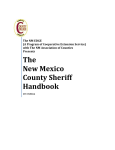 The New Mexico County Sheriff Handbook