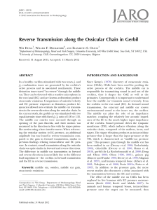 Reverse Transmission along the Ossicular Chain in Gerbil
