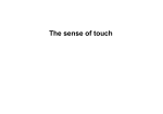 The sense of touch