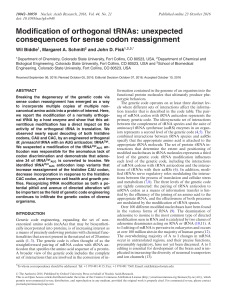 unexpected consequences for sense codon reassignment