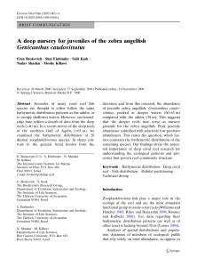 A deep nursery for juveniles of the zebra angelfish