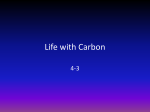 Life with Carbon