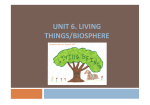 unit 6. living things/biosphere