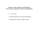 Organic Carbon, Nitrogen, and Phosphorus Cycles and the