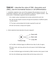 TEKS 5C – describe the roles of DNA, ribonucleic acid (RNA), and