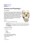 Anatomy and Physiology 1 - Duke Ellington School of the Arts