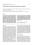 Homeotic genes controlling flower development in Antirrhinum