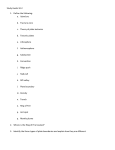 Study Guide 10