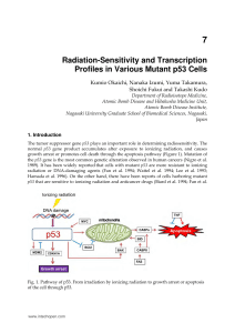 Radiation-Sensitivity and Transcription Profiles in