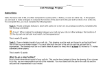 Cell Analogy Worksheet