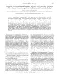 Mechanism of Posttranslational Regulation of Phenol