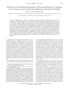 Mechanism of Posttranslational Regulation of Phenol