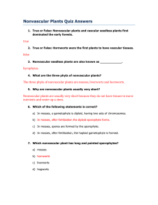 Nonvascular Plants Quiz Answers