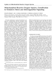 Mitochondrial Reactive Oxygen Species - Mi Portal