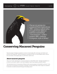 Conserving Macaroni Penguins Fact Sheet