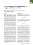 Interpreting Fluorescence Microscopy Images and Measurements.