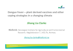 Dengue Fever – plant derived vaccines and other coping strategies