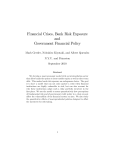 Financial Crises, Bank Risk Exposure and Government Financial
