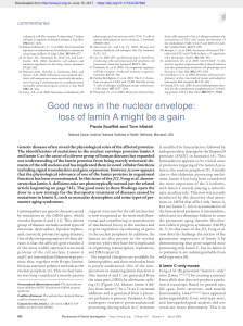 Good news in the nuclear envelope: loss of lamin A might be a gain