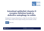 Intestinal epithelial vitamin D receptor deletion leads