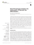 Plant Phosphoglycerolipids: The Gatekeepers of Vascular Cell