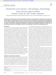 Glutamine and cancer: cell biology, physiology