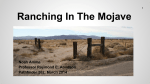 1 Ranching In The Mojave