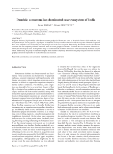 a mammalian dominated cave ecosystem of India