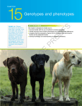 Genotypes and phenotypes