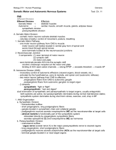 Outline14 Efferent NS