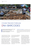 dna barcodes - Cycad Society of South Africa