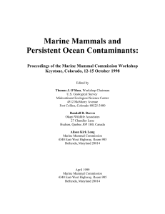 Marine Mammals and Persistent Ocean Contaminants