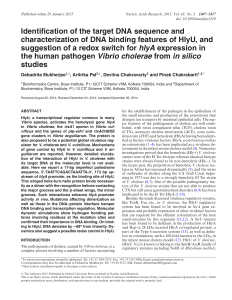 Identification of the target DNA sequence and characterization of