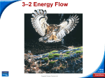3–2 Energy Flow