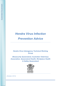 Hendra Virus Infection Prevention Advice