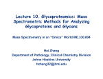 Lecture 10. Glycoproteomics