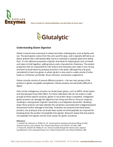 Understanding Gluten Digestion