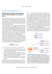 17.2 McClintock Found That Chromosomes of Corn