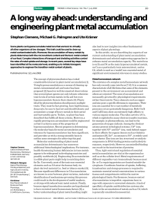 understanding and engineering plant metal accumulation