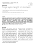 Molecular regulators of phosphate homeostasis in plants
