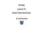 PG1005 Lecture 12 Kreb`s Citric Acid Cycle