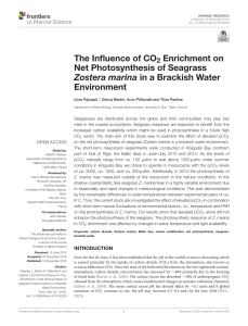 The Influence of CO2 Enrichment on Net Photosynthesis of