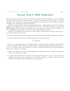 Viscous Drag in DNA Replication