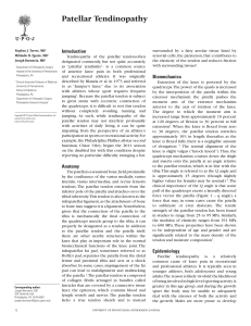 Patellar Tendinopathy - University of Pennsylvania Orthopaedic