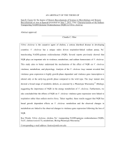 AN ABSTRACT OF THE THESIS OF Sara R. Fassio for the degree of