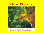 Cells and Microscopes