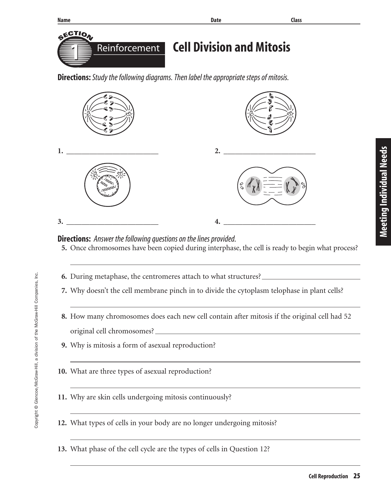 Chapter 8 Resource: Cell Reproduction